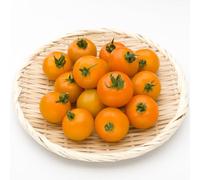 100 Éléments de Tomate Cerise Jaune, Jardin et Balcon, Saveur Sucrée et Éclat Naturel Sans Contrainte