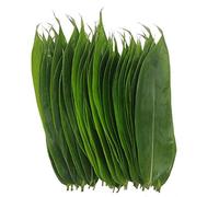 100 feuilles fraîches emballées sous vide, feuilles de bambou sauvage naturel, sushis, cuisine barbecue, décoration zongzi - Taille M