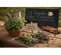 100 graines à semer - Le Grenier d'Abondance - Basilic Cannelle - Ocimum basilicum