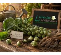 100 graines à semer - Le Grenier d'Abondance - CHOU de Bruxelles Sanda - Brassica oleracea