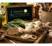 100 graines à semer - Le Grenier d'Abondance - OIGNON Blanc hâtif de Paris - Allium cepa