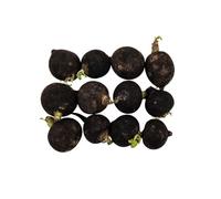 100 Graines À Semer - Le Grenier D'abondance - Radis D'hiver Noir Rond - Radix