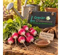100 graines à semer - Le Grenier d'Abondance - RADIS Rond Rose à bout blanc - Radix