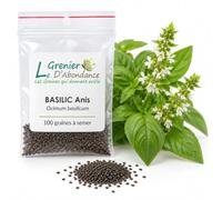100 graines Aromatiques à semer - Le Grenier d'Abondance - BASILIC Anis - Ocimum basilicum
