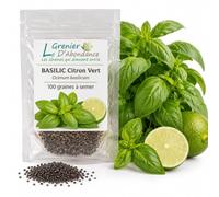 100 graines Aromatiques à semer - Le Grenier d'Abondance - BASILIC Citron Vert - Ocimum basilicum
