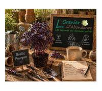 100 graines Aromatiques à semer - Le Grenier d'Abondance - BASILIC Pourpre - Ocimum basilicum purpurascens