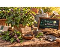 100 graines Aromatiques à semer - Le Grenier d'Abondance - BASILIC Réglisse - Ocimum basilicum