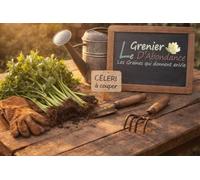 100 graines Aromatiques à semer - Le Grenier d'Abondance - CÉLERI à couper - Apium graveolens