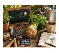 100 graines Aromatiques à semer - Le Grenier d'Abondance - CÉLERI Rave - Apium graveolens
