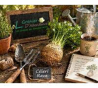 100 graines Aromatiques à semer - Le Grenier d'Abondance - CÉLERI Rave - Apium graveolens