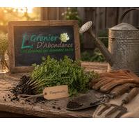 100 graines Aromatiques à semer - Le Grenier d'Abondance - PIMPRENELLE - Sanguisorba minor