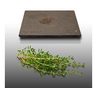 100 Graines Aromatiques À Semer - Le Grenier D'abondance - Thym Serpolet - Thymus Serpylum