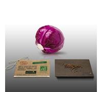 100 Graines Bio À Semer - Le Grenier D'abondance - Chou Rouge Gros - Certifié Ab - Brassica Oleracea