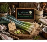 100 graines Bio à semer - Le Grenier d'Abondance - POIREAU Bleu de Solaise - Certifié AB - Allium porrum