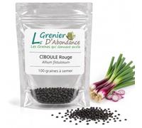 100 graines d'Aromatiques à semer - CIBOULE Rouge - Allium fistulosum