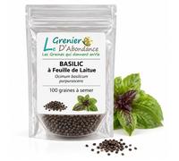 100 graines d'Aromatiques à semer - Le Grenier d'Abondance - BASILIC à Feuille de Laitue - Ocimum basilicum purpurascens