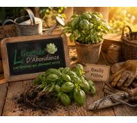100 graines d'Aromatiques à semer - Le Grenier d'Abondance - BASILIC Pistou - Ocimum basilicum purpurascens