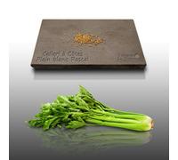 100 Graines D'aromatiques À Semer - Le Grenier D'abondance - Celeri Blanc Pascal - Apium Graveolens