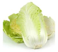 100 Graines de Chou Chinois ‘Granaat’ - Brassica rapa subsp. pekinensis - Précoce et compact - Legume Jardin - 361