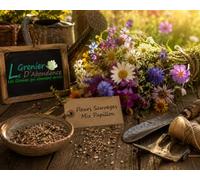 100 graines de Fleurs à semer - Le Grenier d'Abondance - FLEURS SAUVAGES - Mix Papillon