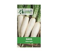 100 Graines de Radis Daikon Minowase - Racine blanche géante pour Potager. Récolte rapide. Culture facile