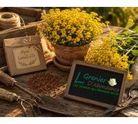 100 graines Fleurs à semer - Le Grenier d'Abondance - ALYSSE Corbeille d'Or - Alyssum