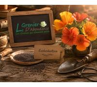 100 graines Fleurs à semer - Le Grenier d'Abondance - ESCHSCHOLTZIA - Pavot Californien
