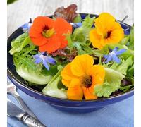 100 Graines Semences - Mélange de 17 Fleurs comestibles - Fruit Légume Apéro - 108