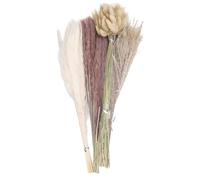 100 pcs Bouquet d'herbe à Pampas séchés mélangés, incluant la Queue et l'herbe de Pampas, pour centres de Table et décoration intérieure, 17 Pouces, Une beauté Authentique Durable