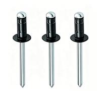100 pcs rivets aveugles en aluminium à double tambour avec mandrin en fer, rivets pop à tête bombée noire de 4,8 mm pour le travail du bois, les meubles, la tôle, le métal, l'automobile(4.8x16mm)