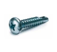 100 Pièce Vis autotaraudeuse à tête Phillips 3,9x19 - Filetage 3,9x19mm 19 0418