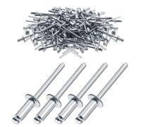 100 Pièces Rivets Aveugles Fer 4,8X16mm, Tête Bombée Extrémité Ouverte Rivet Plaque Immatriculation pour Toitures Métalliques Garde Corps Matériel Agricole Renfort Meubles Décoration