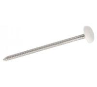 100 Pointes Annelées Tête Bombée Plastifiée Blanche 2.5 x 50 mm - Inox A4 - D-Work