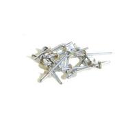 Techman - 100 rivets alu / acier à tête plate Ø 4 x 6 mm G