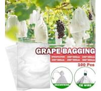 100 Sachets de Protection pour Fruits Sachets en Filet Protection Raisin contre Oiseaux et Insectes Guêpes Frelons 30 x 20 cm
