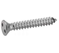 100 Vis à Tôle Tête Fraisée Inviolable Snake Eyes 4.8 x 25 mm - TYPE DIN 7982 - Inox A2 - D-Work