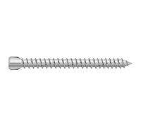 100 Vis d'Ancrage Who Tête Cylindrique Tx25-7.5x92 mm - D-Work