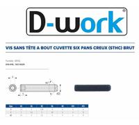 100 Vis Sans Tête 6 Pans Creux à Bout Cuvette STHC 8 x 80 mm - DIN 916 - 45H - Brut - D-Work