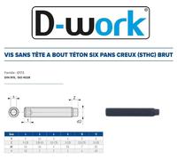 100 Vis Sans Tête 6 Pans Creux à Bout Téton STHC 6 x 35 mm - DIN 915 - 45H - Brut - D-Work