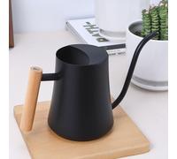 1000 ml arrosoir noir pour petites plantes d'intérieur - mini arrosoir en acier inoxydable avec long bec pour succulentes