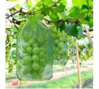 100pcs Sacs de protection pour grappes - Tissu organza respirant Protection guêpes et oiseaux - Jardin et culture fruitière