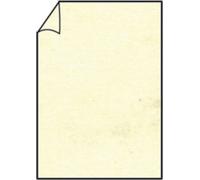 100x PAPERADO 16400106 Briefbogen A4 100g chamois mar