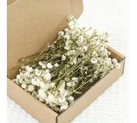 102/120/49 pièces Mini fleurs artificielles de gypsophile blanches - Verdure artificielle réaliste et exquise, couronne de bureau de style bohème, HOSY facile DIY, fleurs pour la fabrication de cartes