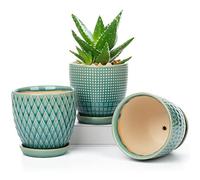 10cm Ensemble de 3 Pots de Plantes en Céramique Petits Pots de Fleurs Ronds avec Trou de Drainage et Soucoupe pour Cactus Succulent, pour Intérieur Extérieur Jardin Maison Rebord de Fenêtre