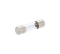 10X 179120.0,1 Fusible: de fusible temporisé 100mA 250VAC 5x20mm laiton SIBA