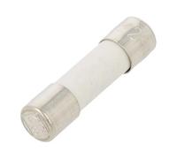 10X 522607 Fusible: de fusible temporisé 100mA 250VAC 5x20mm 522.600 ESKA