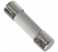 10X 5HT 1-R Fusible: de fusible temporisé 1A 250VAC céramique,cylindrique BEL F