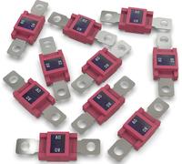 10x AUPROTEC Mega fusible à haut courant 80A fusible à vis rouge