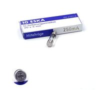 10x Fusible moyen temporisé (M) en verre 250mA / 250VAC 5x20mm
