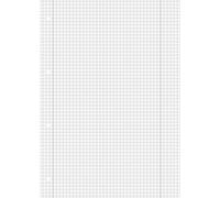 10XBRUNNEN 105260801 Schulbl A4 70g 50Bl